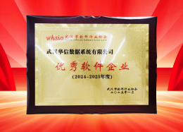 喜讯丨DB真人旗舰 DB数据获评2024~2025年度武汉市软件行业&ldquo;优秀企业&rdquo;、&ldquo;优秀工作者&rdquo;荣誉称号！